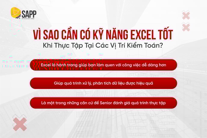 audit intern - excel cho kiểm toán (2)