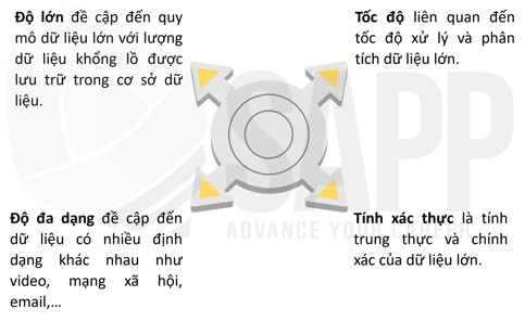 1FC10.2-1