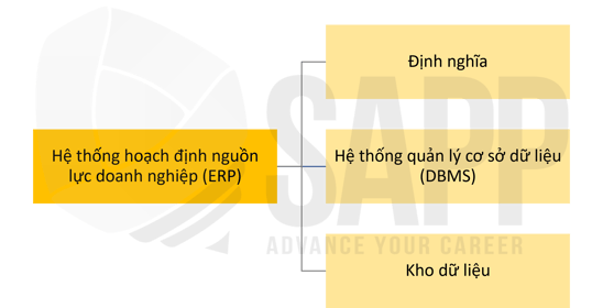 1FC2.1-1