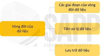1FC5.1-1