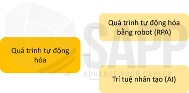 1FC8.1-1