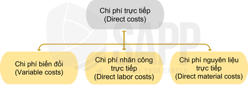 2CC6.2