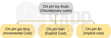 2CC6.3