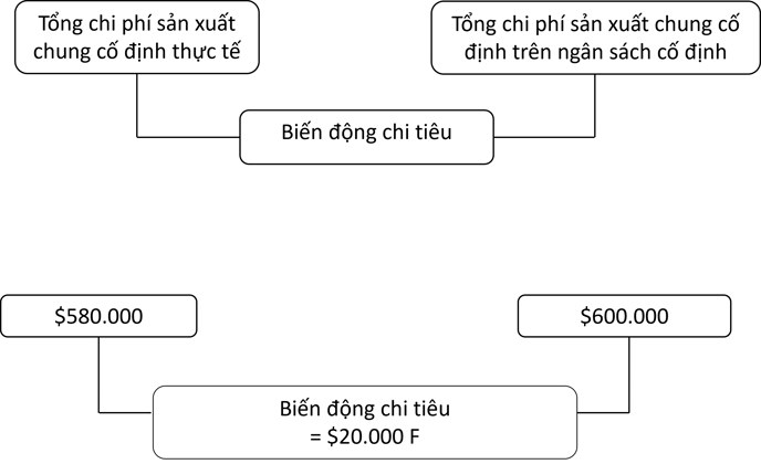 Fixed OH - Câu 10