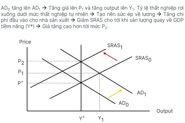 ECON - M4 - 7
