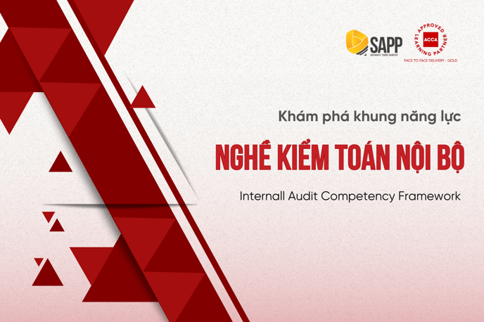 Khung năng lực nghề Kiểm toán nội bộ (Internal Audit Compentency Framework)