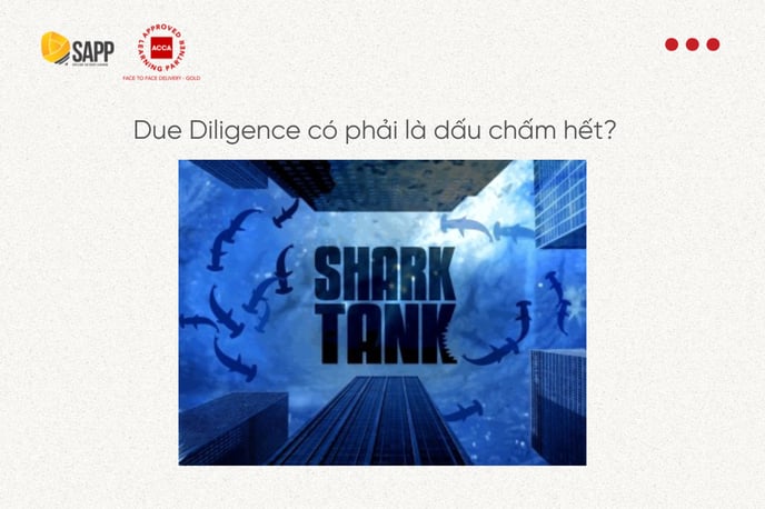Financial Due Diligence (2)