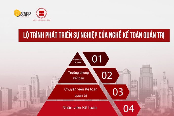 khung năng lực của nghề Kế toán Quản trị (Management Accountant competency framework) (3)