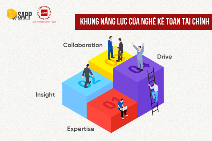 Khung năng lực nghề Kế toán (Financial Accountant Competency Framework)