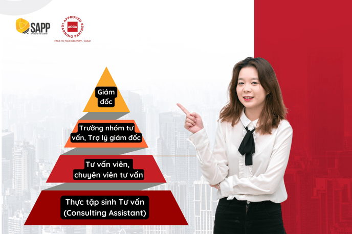 Thăng tiến trong nghề tư vấn (consulting career path)