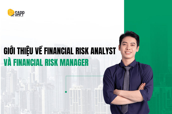 Risk Analyst